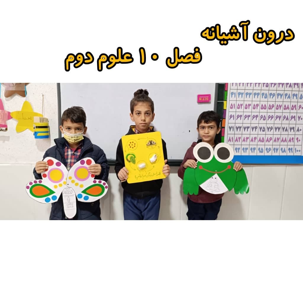 درون آشیانه